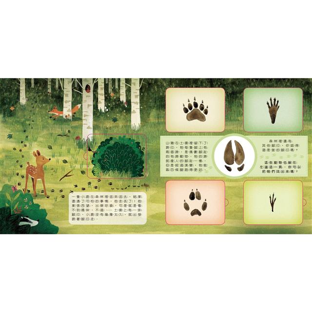 動物小知識翻翻書：這是誰的腳印？